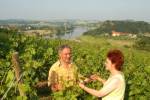 Familie Keydel im Weinberg