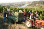 Technik und Helfer im Weinberg